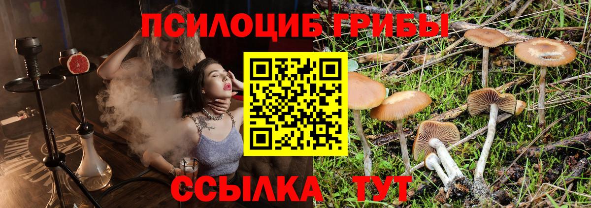 Сочи  Псилоцибиновые грибы прущие грибы  Вход с VPN  купить закладку  Галлюциногенные грибы мухоморы 