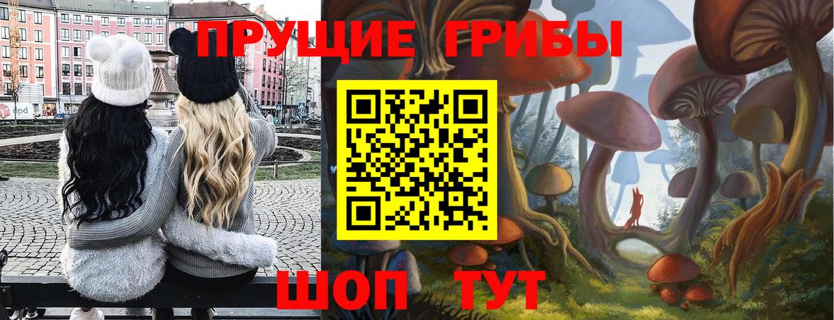 Галлюциногенные грибы ЛСД Сочи